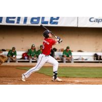 Will Worthington of the St. Cloud Rox in action