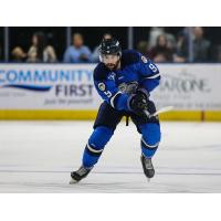 Jacksonville Icemen forward Luke Lynch