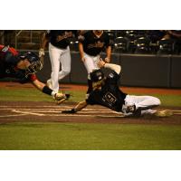 West Virginia Black Bears outfielder Maddux Houghton slides under the tag of Williamsport Crosscutters catcher Zach Miller