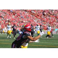 Calgary Stampeders wide receiver Reggie Begelton scores against the Edmonton Elks