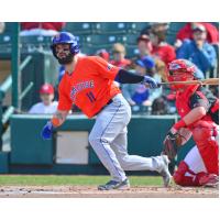 Nick Dini of the Syracuse Mets at bat