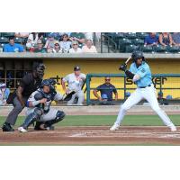 Charleston RiverDogs at bat