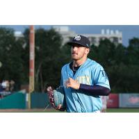 Charleston RiverDogs on game day