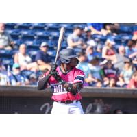 Pensacola Blue Wahoos' Paul McIntosh at bat