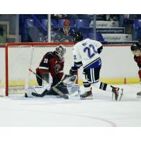 Vancouver Giants' Jesper Vikman vs Victoria Royals' Dylan Ruff