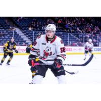 Adrien Beraldo skating for the Niagara IceDogs in 2019