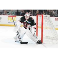 Goaltender Zane Steeves with the Huntsville Havoc