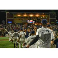 Pensacola Blue Wahoos exchange high fives