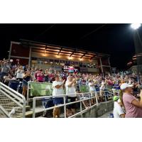 Pensacola Blue Wahoos fans cheer on their team