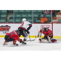 Kelowna Rockets' Marcus Pacheco on the ice