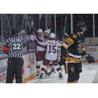 Peterborough Petes' Braydon McCallum celebrates win