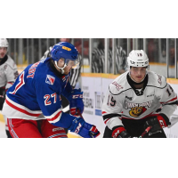 Kitchener Rangers' Roman Schmidt vs. Owne Sounds' Julian Fantino