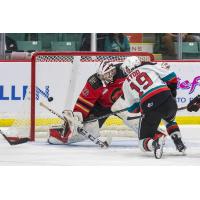 Kelowna Rockets' Adam Kydd battles Prince George Cougars' Nick McBride