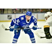 Mississauga Steelheads centre Owen Beck