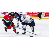 Victoria Royals' Riley Gannon vs. Kelowna Rockets' Ismail Abougouche