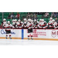 The Belleville Senators on game day