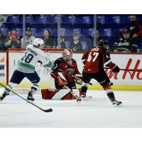 Sam Popowich of the Seattle Thunderbirds in action against Vancouver Giants' Mazden Leslie