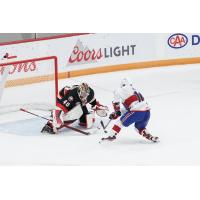 Belleville Senators goaltender Mads Sogaard faces the Laval Rocket