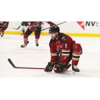 Tucson Roadrunners' Cam Crotty on game day