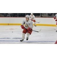 Grand Rapids Griffins in training