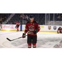 Tucson Roadrunners on the ice