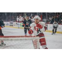 Grand Rapids Griffins' 	Austin Czarnik on the ice