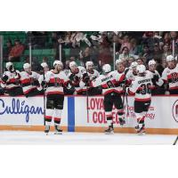 Belleville Senators' Jayce Hawryluk and Angus Crookshank congratulate teammates