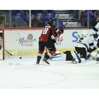 Vancouver Giants centre Colton Langkow vs. the Winnipeg ICE