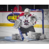 Allen Americans goaltender Luke Peressini