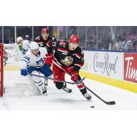 Grand Rapids Griffins in action against Toronto Marlies