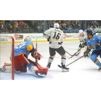 Wheeling Nailers' Cam Hausinger in action