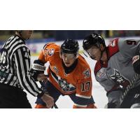 Worcester Railers' Blade Jenkins in action