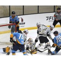 Wheeling Nailers goaltender Taylor Gauthier vs. the Toledo Walleye