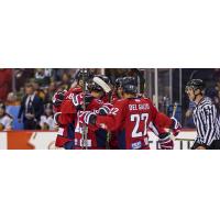 South Carolina Stingrays celebrate a goal