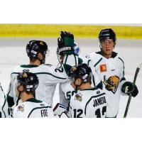 Utah Grizzlies exchange congratulations after a win