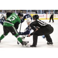 Texas Stars' Riley Damiani versus Milwaukee Admirals' Mark Jankowski