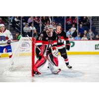 Belleville Senators goaltender Kevin Mandolese against the Laval Rocket