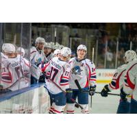 Springfield Thunderbirds talk along the bench