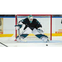 Goaltender Strauss Mann with the San Jose Barracuda