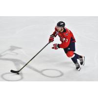 South Carolina Stingrays' Matt Anderson In Action