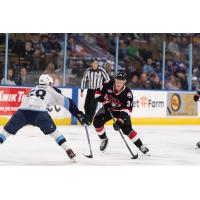 Belleville Senators' Roby Jarventie versus Milwaukee Admirals' Adam Wilsby