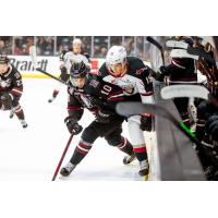 Vancouver Giants' Frantisek Formanek battles Red Deer Rebels' Jaden Lipinski