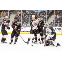 Vancouver Giants taking on the Red Deer Rebels