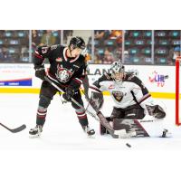 Red Deer Rebels' Kalan Lind in action