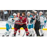 Tucson Roadrunners' Travis Barron battles San Jose Barracuda's Jasper Weatherby