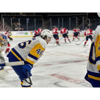 Smyth Rebman of the Saskatoon Blades ready for action