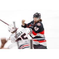 Belleville Senators' Scott Sabourin battles Rockford IceHogs' Alec Regula