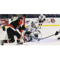 Victoria Royals' Tyler Palmer versus Medicine Hat Tigers'	Reid Andersen