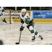 Texas Stars forward Matej Blumel