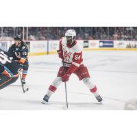 Grand Rapids Griffins forward Givani Smith